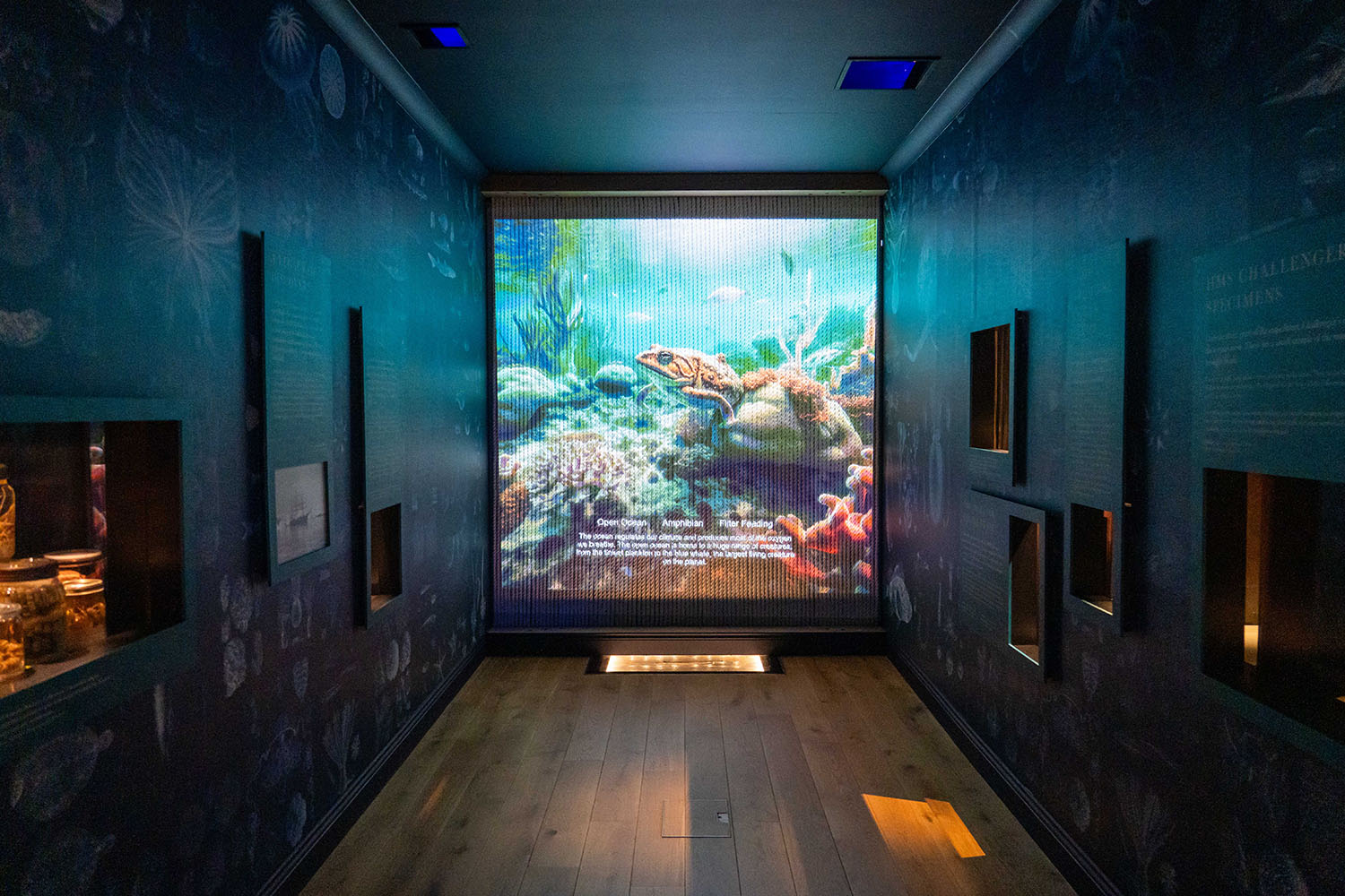 the output of the interactive is projected on a rope wall.